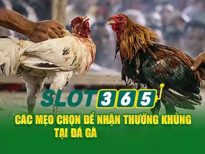 Rút Tiền Slot365 Xxvip