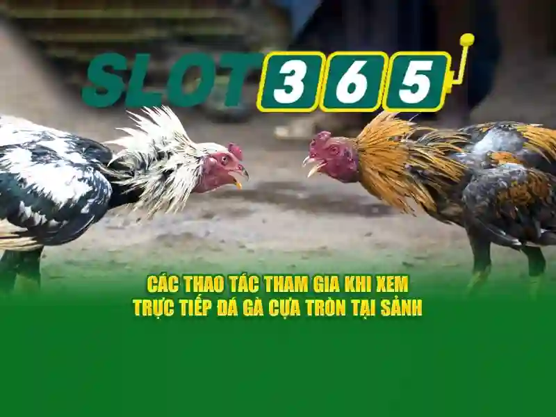 Tại Sao Chọn Slot365 tải app