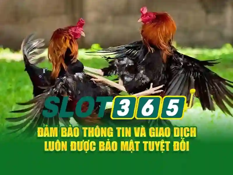 SLOT365 – Cam Kết An Toàn Và Minh Bạch