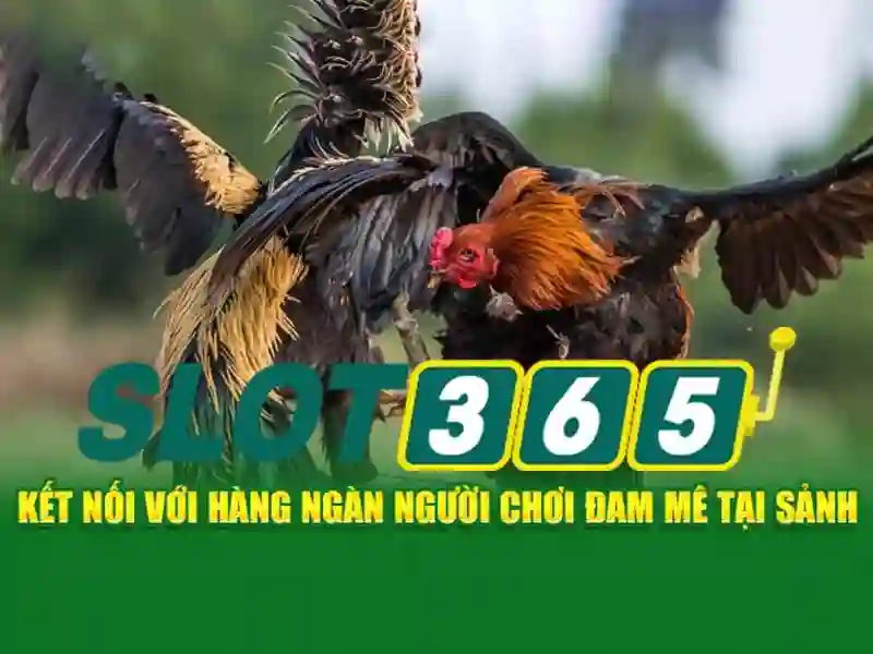 Trải Nghiệm Giải Trí Đỉnh Cao