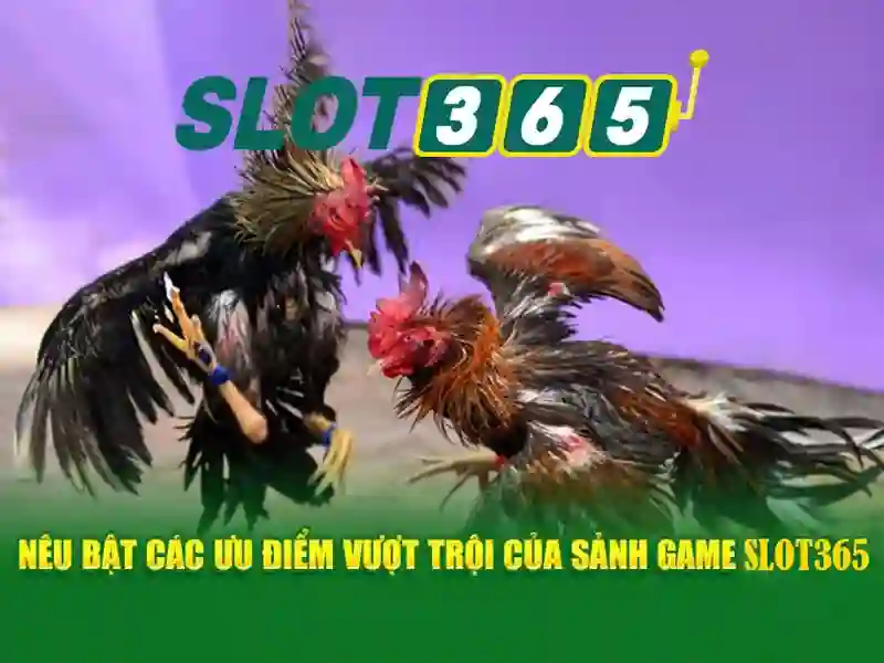 SLOT365 – Trang Chủ | Link Slot365 | Ưu Đãi Slot365 | Tin Tức Thể Thao