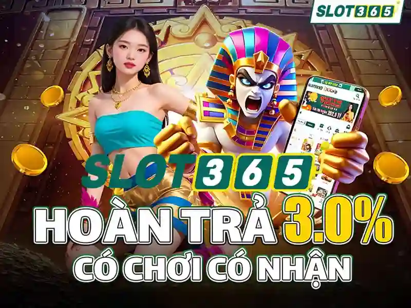 Live Slot365