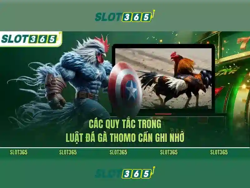 Trải nghiệm Slot365 tải app