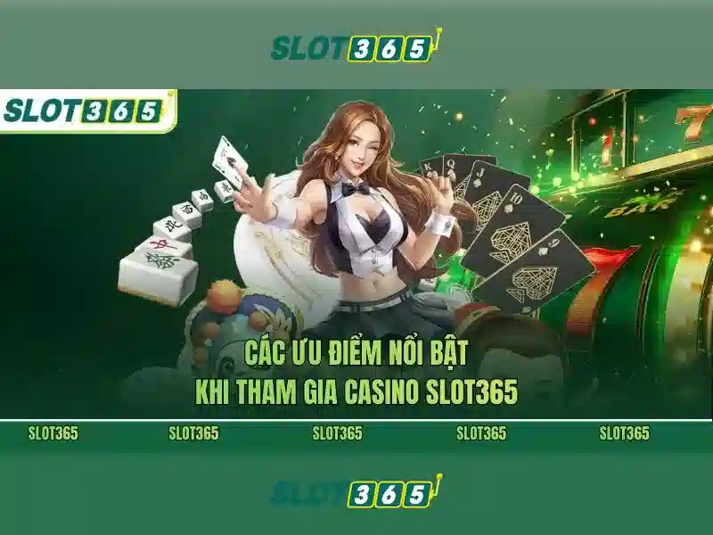 quản lý tài khoản Slot365