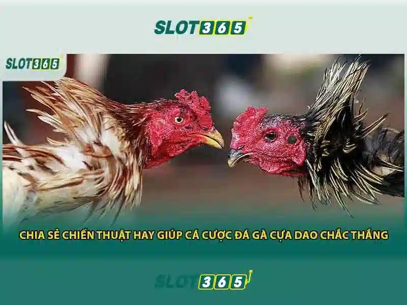 SLOT365 – Trải Nghiệm Đỉnh Cao Trong Thế Giới Slot Đổi Thưởng 2026