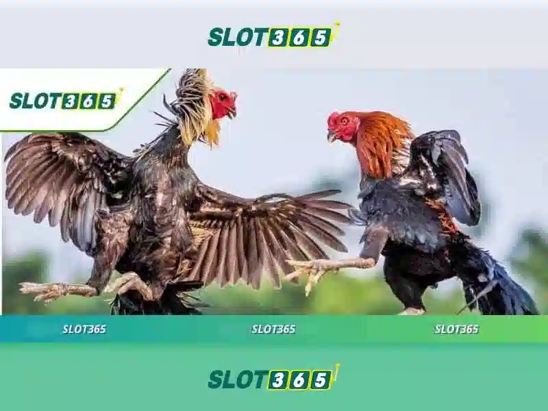 SLOT365