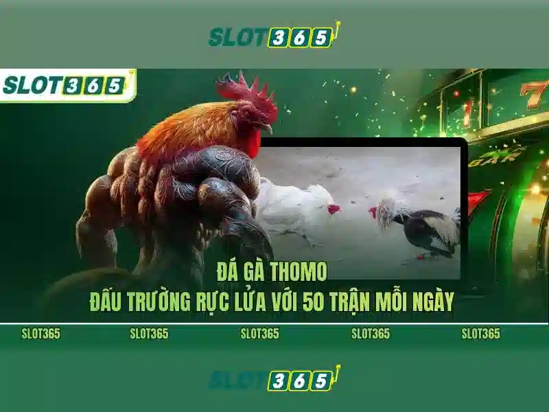 Hướng dẫn đăng ký Slot365