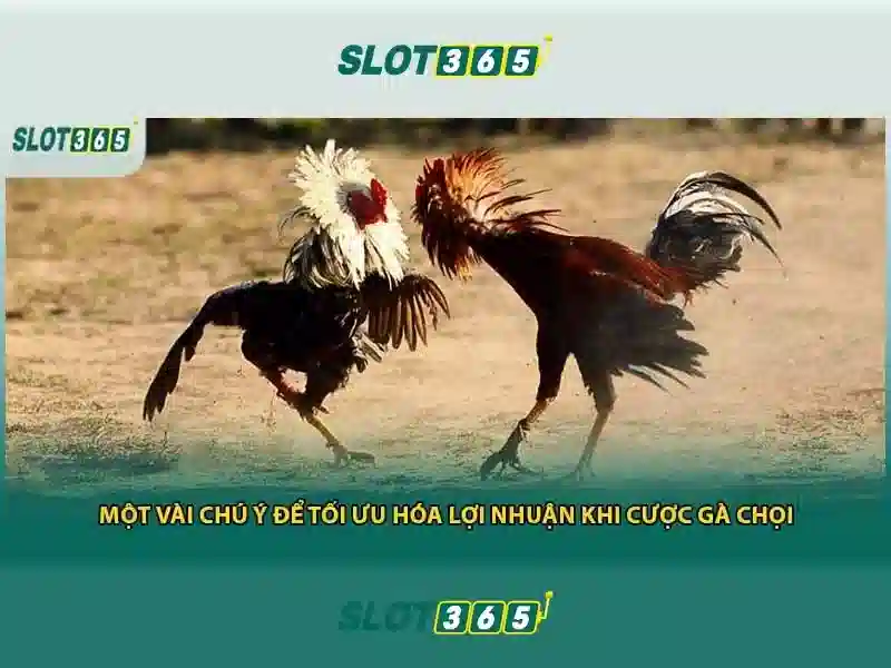 SLOT365 đa dạng trò chơi slot