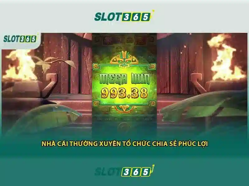 Bảo mật thông tin Slot365