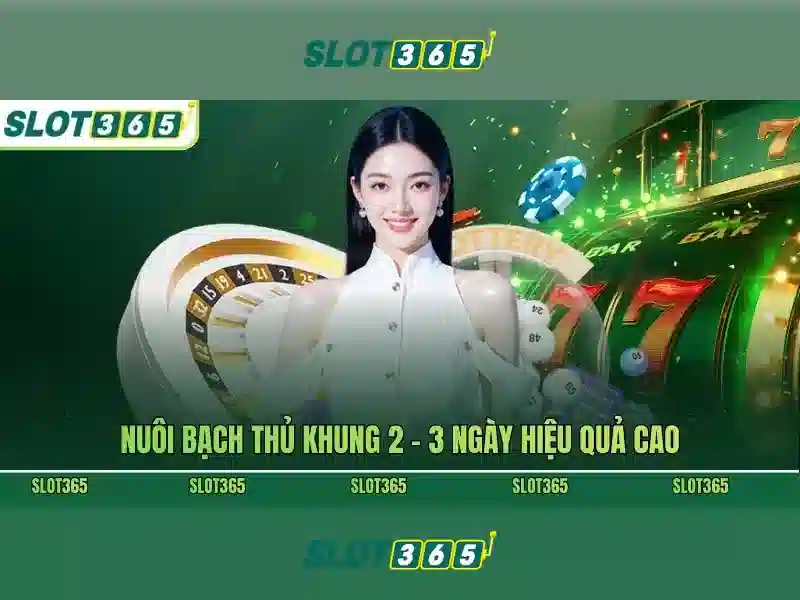 An Toàn Và Bảo Mật