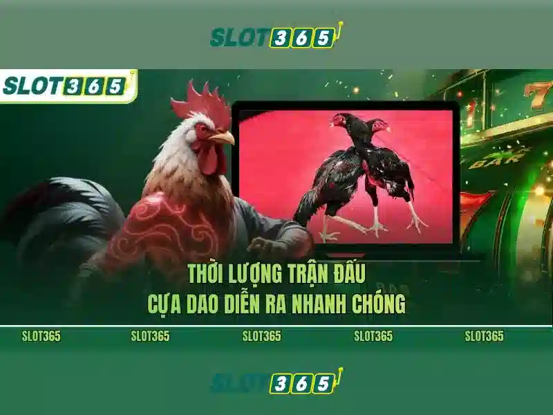 Slot365 Platform