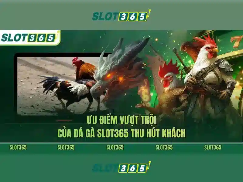 Xác Thực Người Dùng Slot365