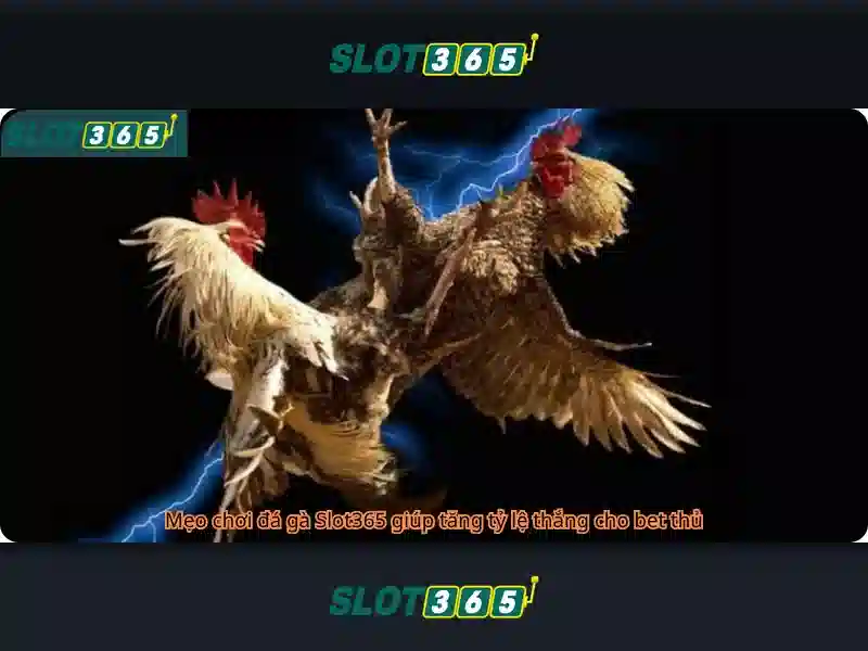 Ưu Điểm Nổi Bật Của Rút Thưởng Slot365