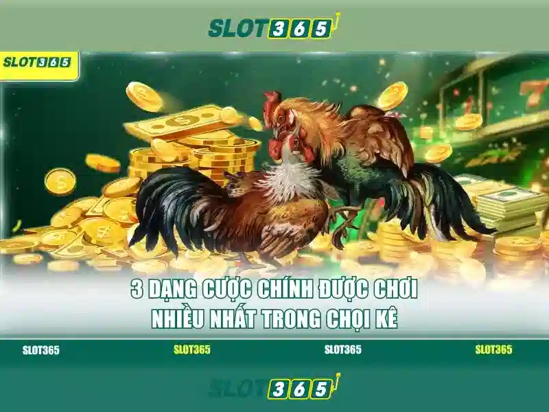 Slot365 không bị chặn – Trải nghiệm game slot an toàn