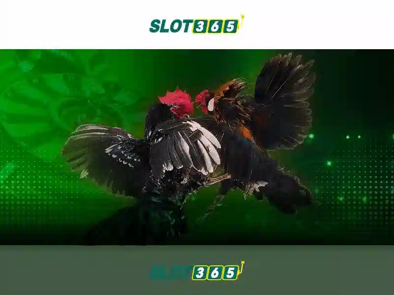 Raja Slot365