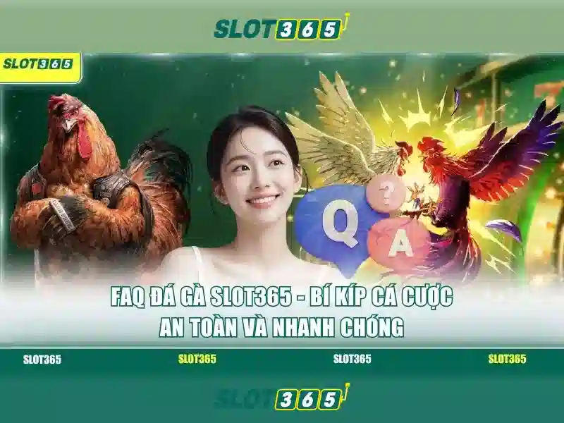 Trải Nghiệm Người Dùng