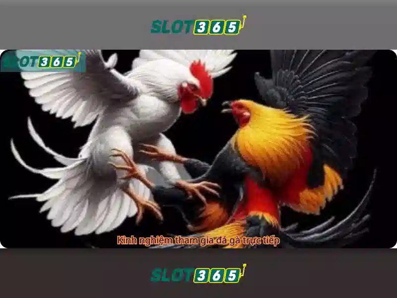 Slot365 App
