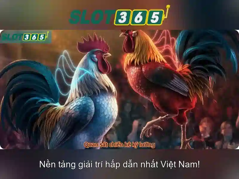 Tại Sao Nên Chọn Slot365