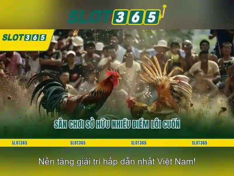 Chính Sách Thưởng Slot365