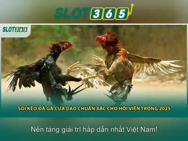 Trò Chơi Slot365 Đa Dạng
