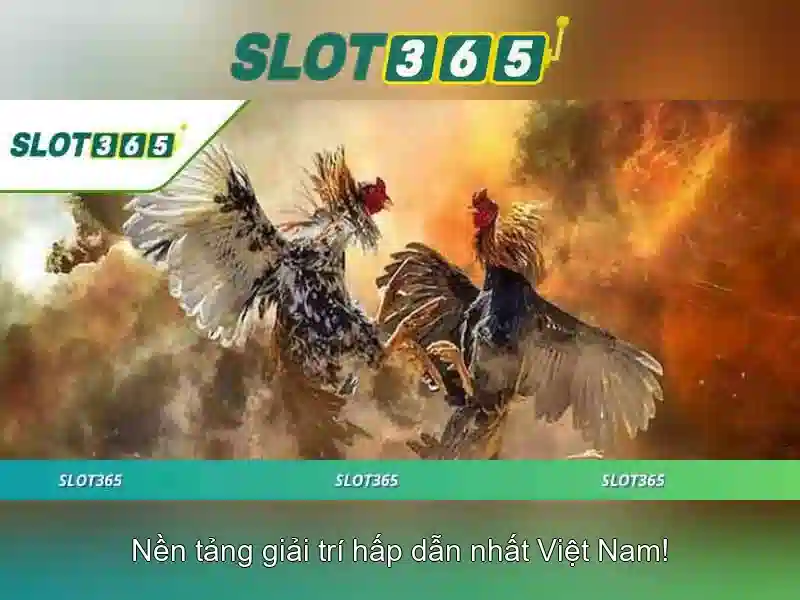 SLOT365 – Trải Nghiệm Game Bài Đa Dạng và Chất Lượng Cao 2026