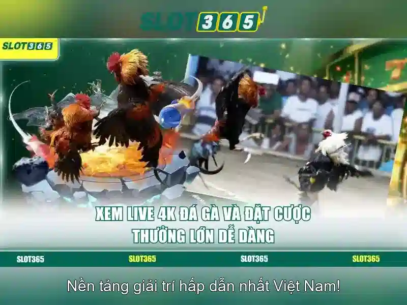 Rút Thưởng Slot365