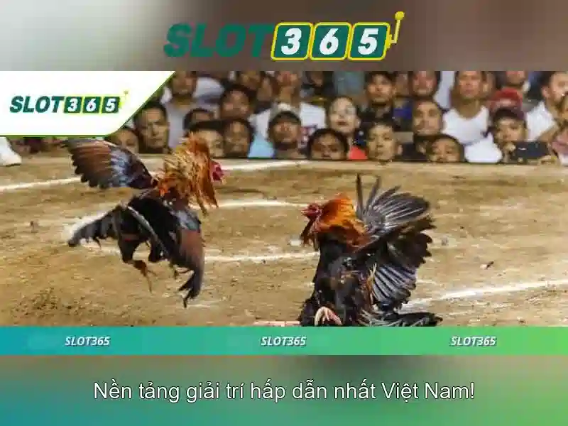 game bắn cá SLOT365