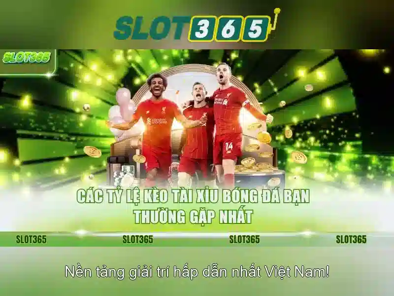 Bí Quyết Tối Ưu Hóa Trải Nghiệm