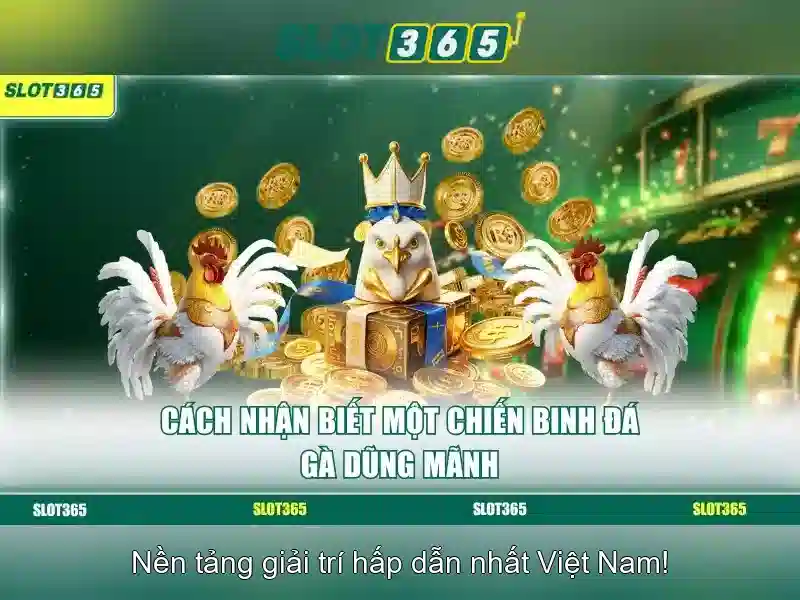 Trải nghiệm nhận thưởng Slot365