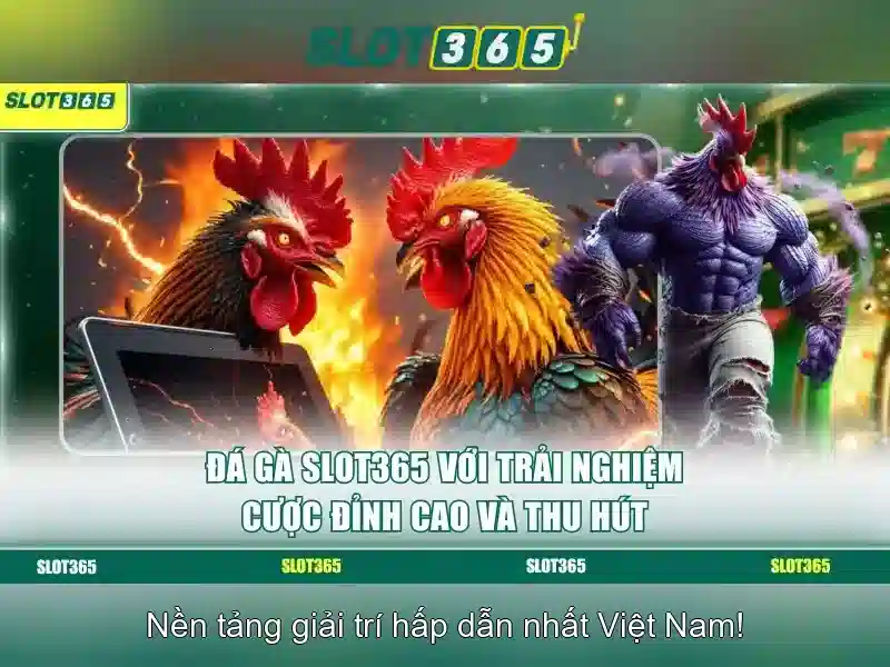 SLOT365 Trải Nghiệm Slot365