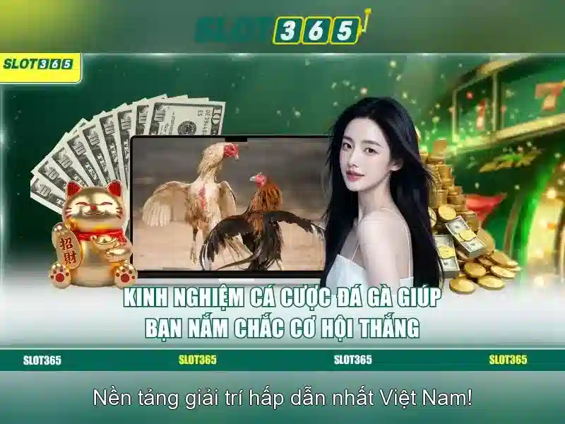 Trải Nghiệm Casino Slot365
