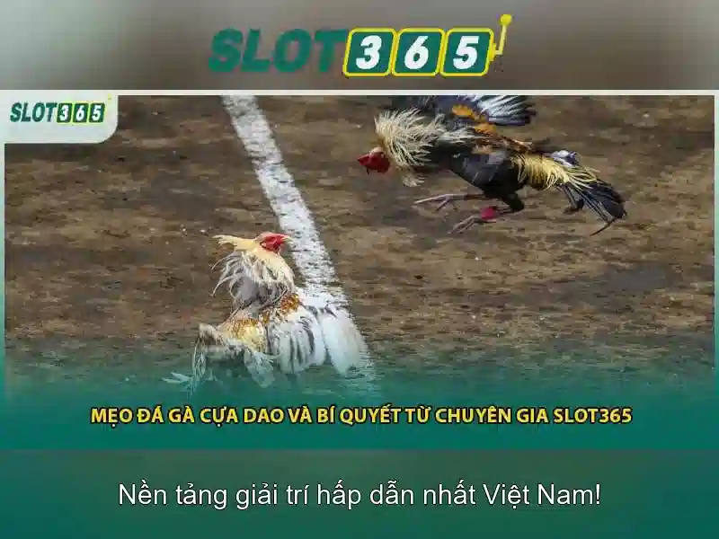 slot365 pulsa tanpa potongan