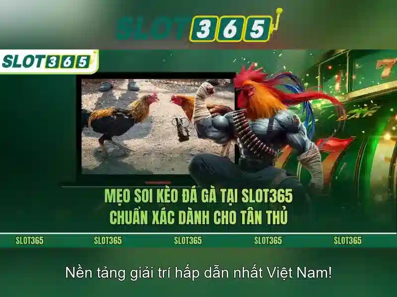 Hướng dẫn truy cập Slot365 không bị chặn
