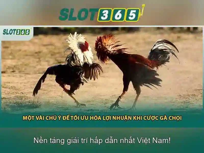 Chính sách bảo mật Slot365