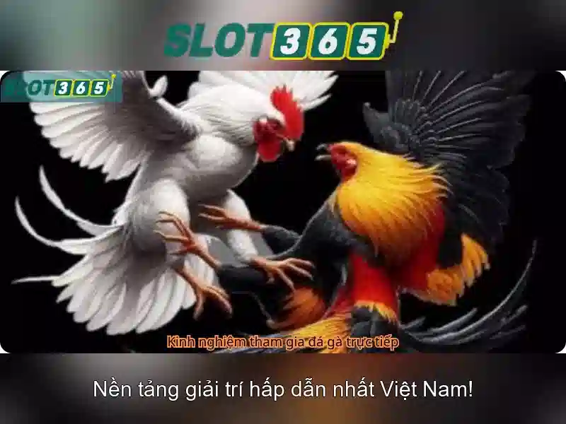 hướng dẫn sử dụng ứng dụng Slot365