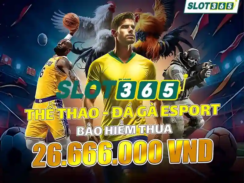 Dự Phòng Slot365