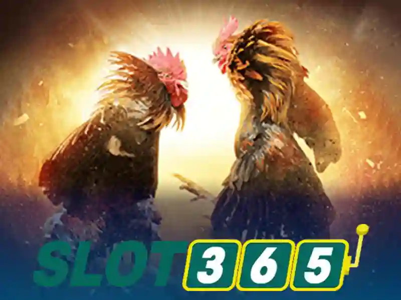 Slot365 Là Gì